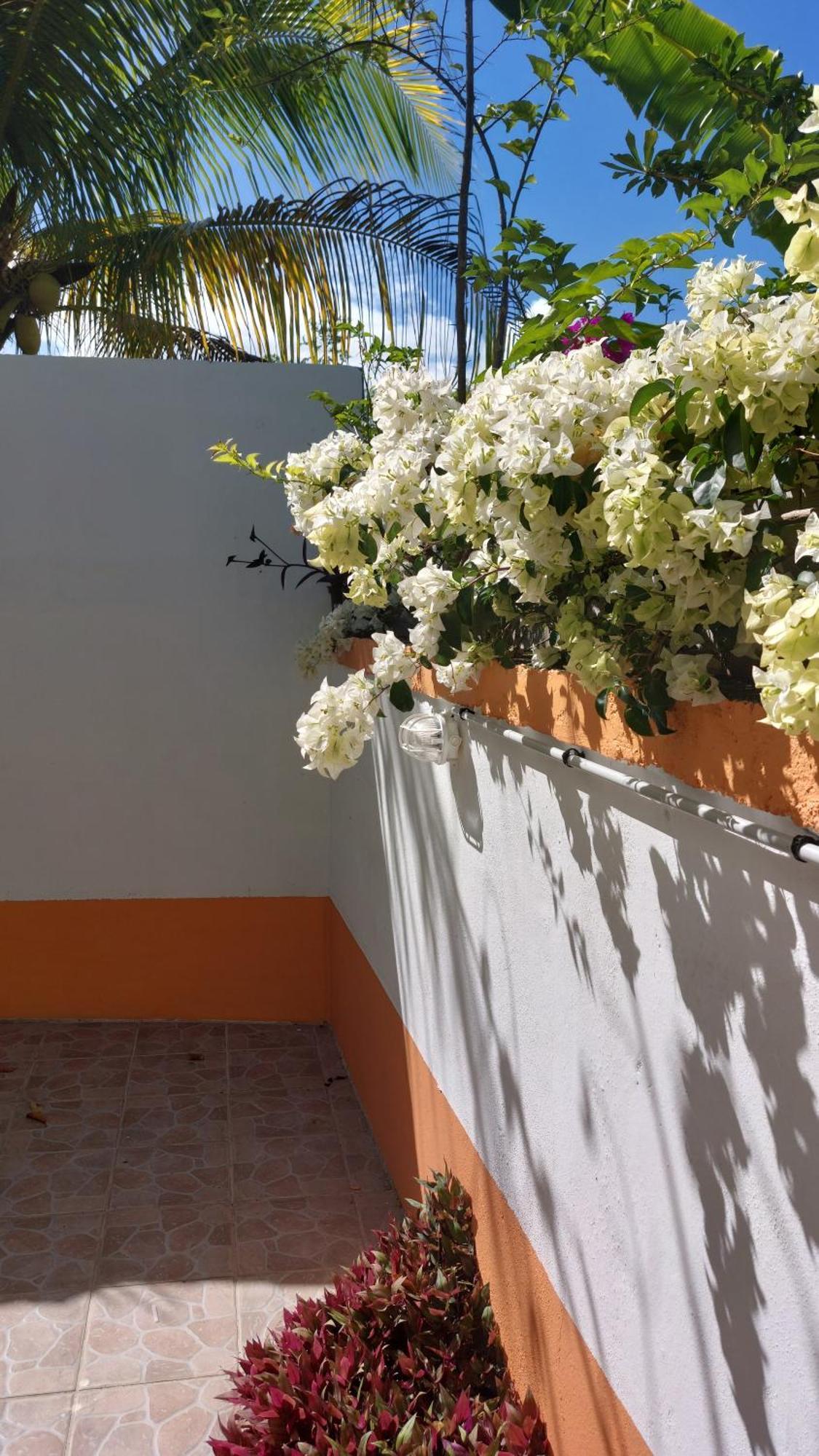Calme Villa Sainte-Rose Exterior foto